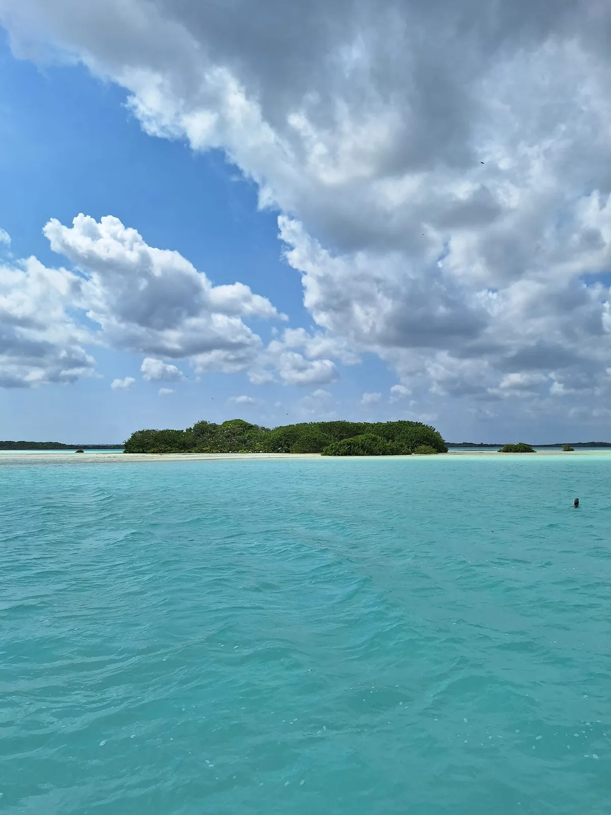 Aguas turquesa de la Riviera Maya